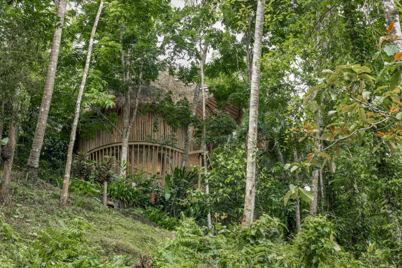 Amarta Pesagi Retreat Tabanan Villa Eksteriør billede
